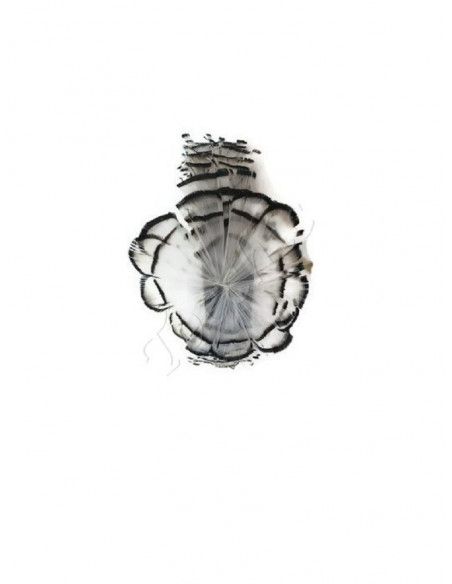 Diadema blanca y negra de plumas - Sombreros y Tocados para bodas de mañana - 12 Diadema blanca y negra de plumas - Sombreros y Tocados para bodas de mañana - 12